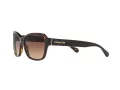 Coach L1010 Gafas de Sol HC 8232 550713