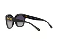 Coach L1083 Gafas de Sol HC 8264 5002T3