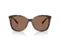 Coach L1101 Gafas de Sol HC 8271U 512073