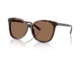 Coach L1101 Gafas de Sol HC 8271U 512073