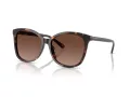Coach L1101 Gafas de Sol HC 8271U 5120T5