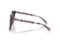 Coach L1101 Gafas de Sol HC 8271U 584346