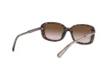 Coach L1114 Gafas de Sol HC 8278 512013