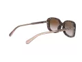Coach L1114 Gafas de Sol HC 8278 512013