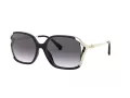 Coach L1116 Gafas de Sol HC 8280U 50028G