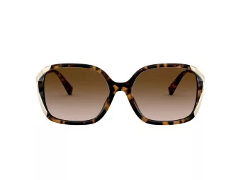 Coach L1116 Gafas de Sol HC 8280U 512013