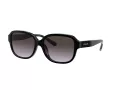 Coach L1153 Gafas de Sol HC 8298U 50028G