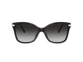Coach C3446 Gafas de Sol HC 8316 50028G
