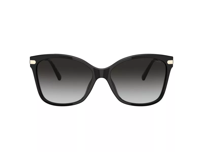 Coach C3446 Gafas de Sol HC 8316 50028G