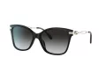 Coach C3446 Gafas de Sol HC 8316 50028G