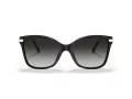 Coach C3446 Gafas de Sol HC 8316 50028G