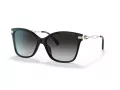 Coach C3446 Gafas de Sol HC 8316 50028G
