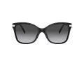 Coach C3446 Gafas de Sol HC 8316 5002T3