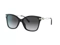 Coach C3446 Gafas de Sol HC 8316 5002T3