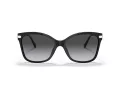 Coach C3446 Gafas de Sol HC 8316 5002T3