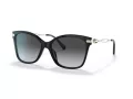 Coach C3446 Gafas de Sol HC 8316 5002T3