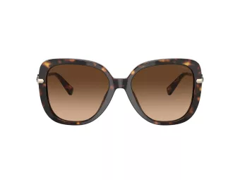 Coach C6180 Gafas de Sol HC 8320 512074