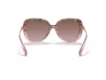 Coach C6180 Gafas de Sol HC 8320 56505M