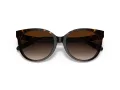 Coach C6181 Gafas de Sol HC 8321 51203B