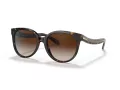 Coach C6181 Gafas de Sol HC 8321 51203B