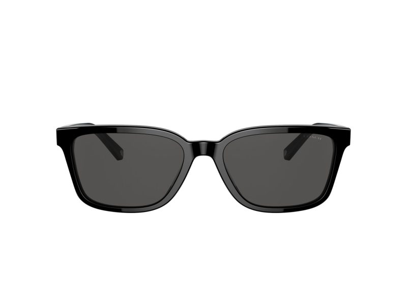 Coach C6196 Gafas de Sol HC 8328U 500287