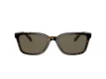 Coach C6196 Gafas de Sol HC 8328U 512003