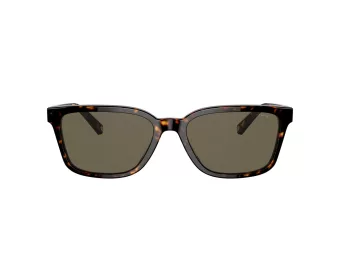 Coach C6196 Gafas de Sol HC 8328U 512003