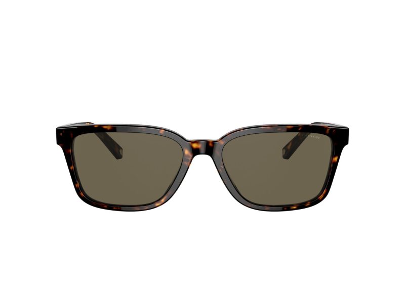 Coach C6196 Gafas de Sol HC 8328U 512003