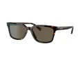 Coach C6196 Gafas de Sol HC 8328U 512003