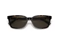 Coach C6196 Gafas de Sol HC 8328U 512003