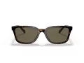 Coach C6196 Gafas de Sol HC 8328U 512003