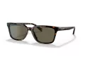 Coach C6196 Gafas de Sol HC 8328U 512003