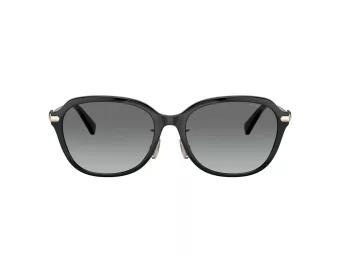 Coach C6199 Gafas de Sol HC 8332D 500211