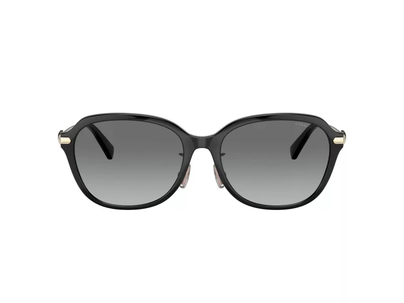 Coach C6199 Gafas de Sol HC 8332D 500211