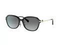 Coach C6199 Gafas de Sol HC 8332D 500211