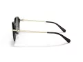 Coach C6199 Gafas de Sol HC 8332D 500211