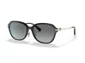 Coach C6199 Gafas de Sol HC 8332D 500211