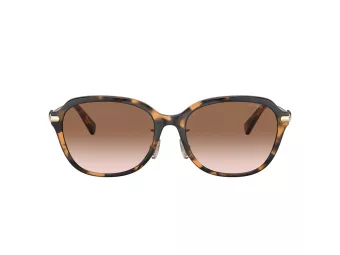 Coach C6199 Gafas de Sol HC 8332D 512013