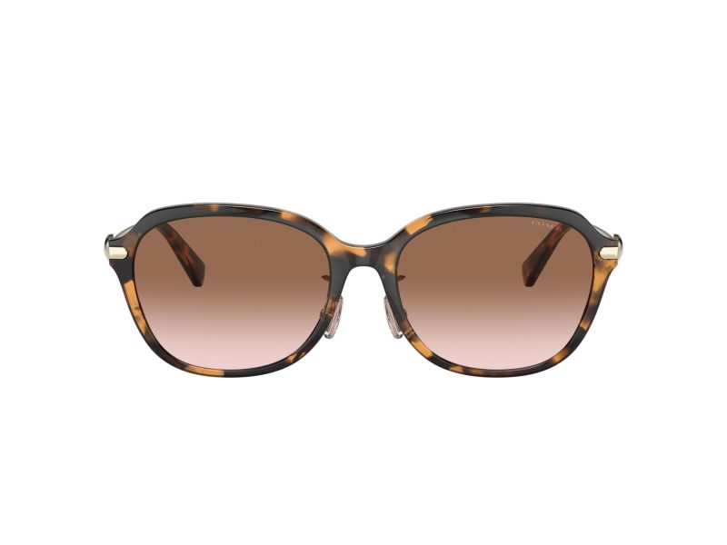 Coach C6199 Gafas de Sol HC 8332D 512013