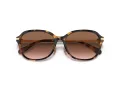 Coach C6199 Gafas de Sol HC 8332D 512013