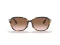 Coach C6199 Gafas de Sol HC 8332D 512013