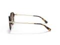 Coach C6199 Gafas de Sol HC 8332D 512013