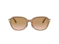 Coach C6199 Gafas de Sol HC 8332D 565413