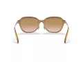 Coach C6199 Gafas de Sol HC 8332D 565413