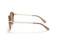 Coach C6199 Gafas de Sol HC 8332D 565413