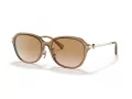 Coach C6199 Gafas de Sol HC 8332D 565413