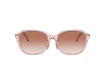 Coach C6199 Gafas de Sol HC 8332D 566613
