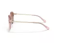 Coach C6199 Gafas de Sol HC 8332D 566613