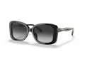 Coach C7994 Gafas de Sol HC 8334U 50023C