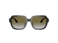 Coach C7989 Gafas de Sol HC 8335U 50027Z